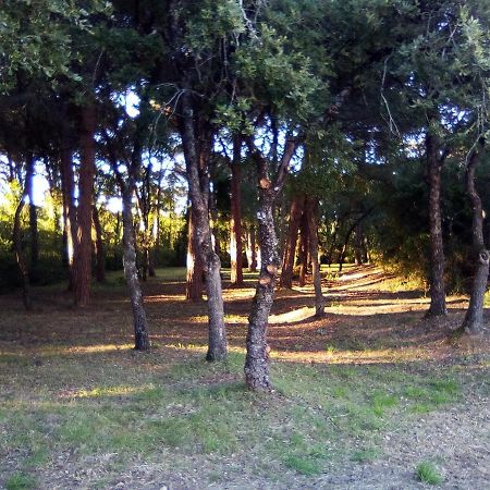 Enjoy The Best Of Countryside Leiria Esterno foto