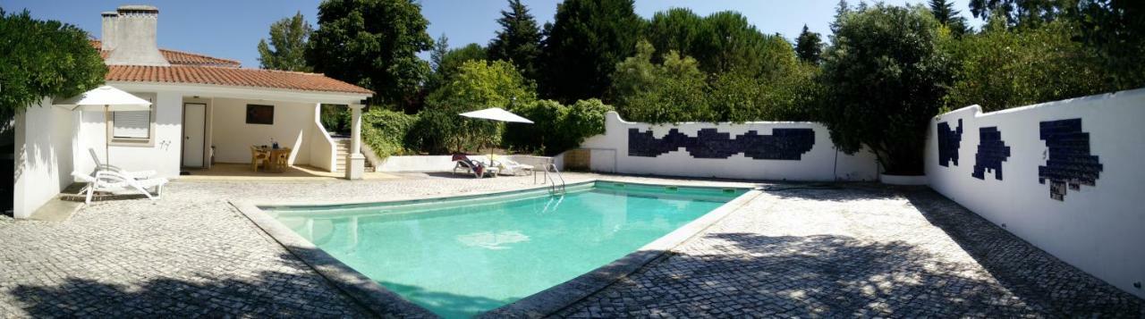 Enjoy The Best Of Countryside Leiria Esterno foto