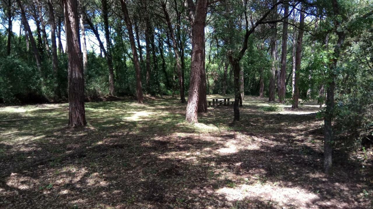 Enjoy The Best Of Countryside Leiria Esterno foto
