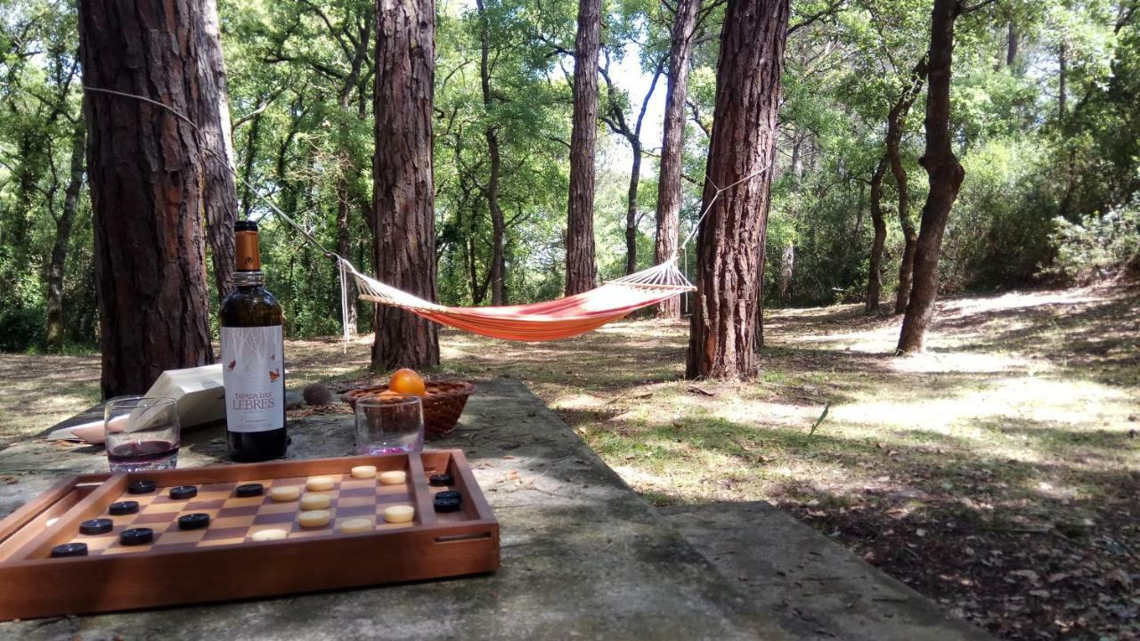 Enjoy The Best Of Countryside Leiria Esterno foto